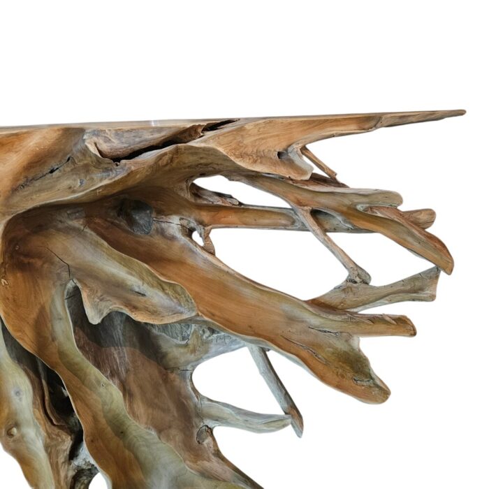 Teak Root Scoop Console Table INJ5070A5 Close