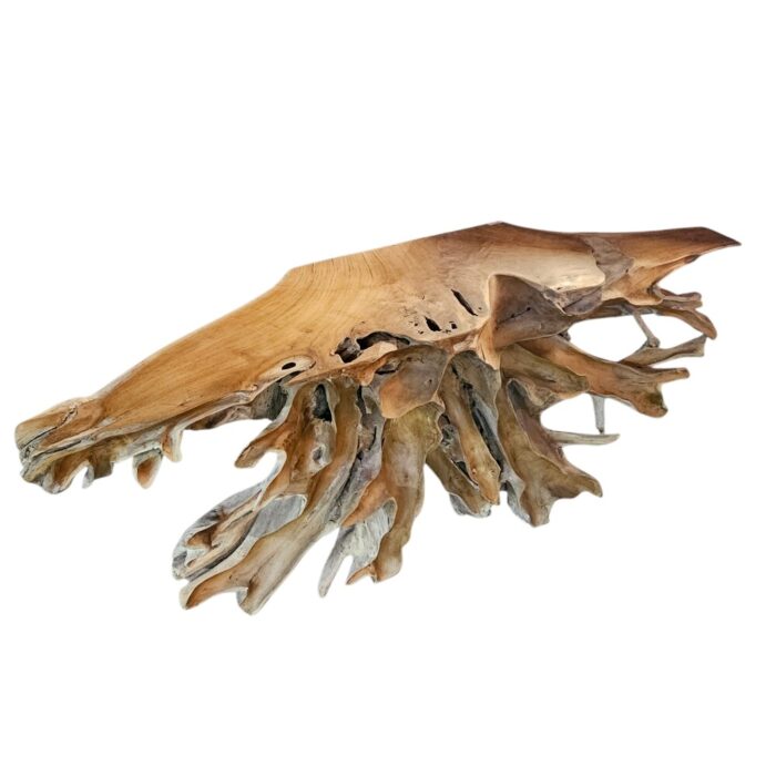 Teak Root Scoop Console Table INJ5070A5 Side