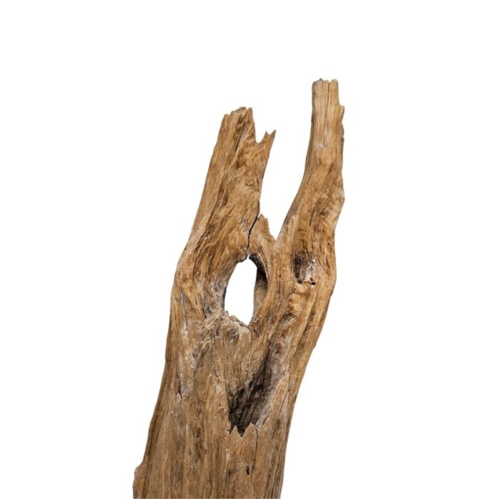 Abstrak Teak Sculpture NJA6095A Close Abstrak Teak Sculpture NJA6095A Close