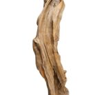Abstrak Teak Sculpture NJA6098A CLose Mid