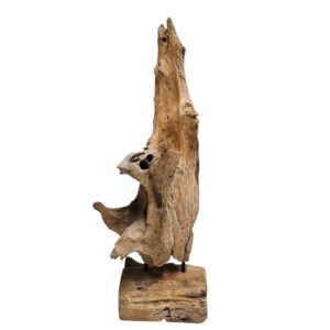 Abstract Teak Root Wooden Sculpture (80cm)