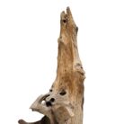 Abstrk Sculpture Teak NJA6090A Close