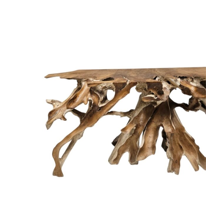 Root Console Scoop Console Table INJ5060A14 Close Up