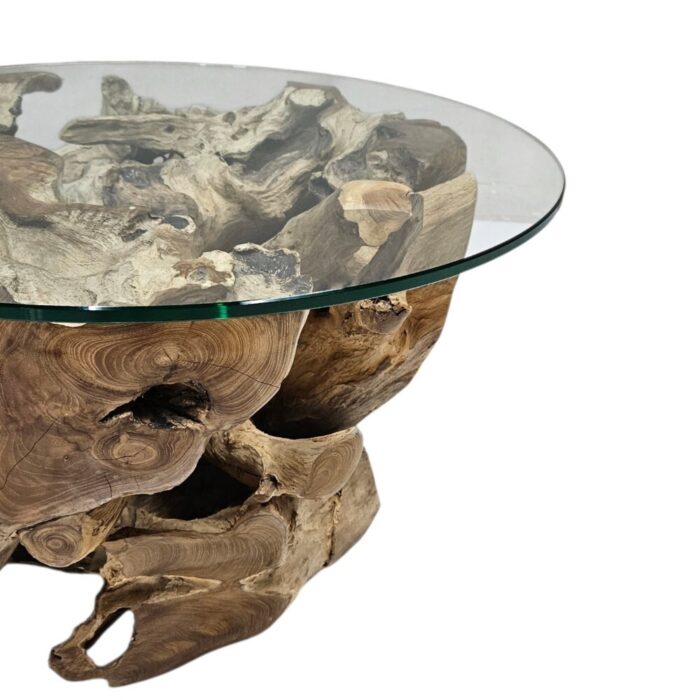 Root Erosi Coffee Table INJ3200A57 Close Up Root Erosi Coffee Table INJ3200A57 Close Up
