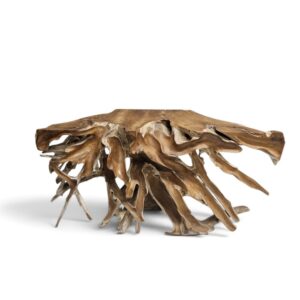 Scoop Sculptural Teak Root Console Table