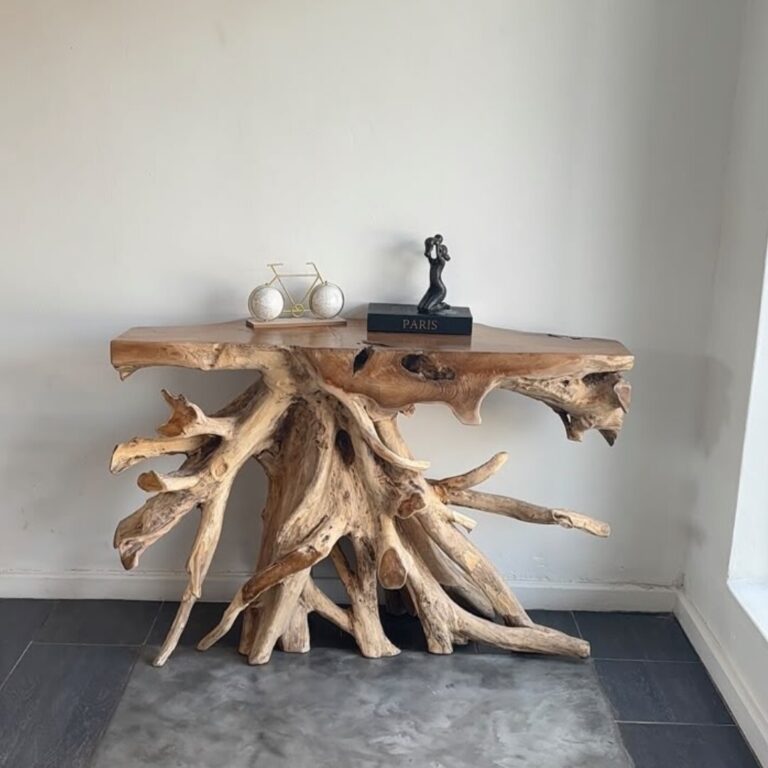 Sotran Root In Your Home