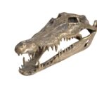 Crockodile Statue Decor GOL0845 37x15x10_2.200gr Cllose Up