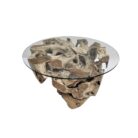 Erosi Root Coffee Table Round INJ3400A44