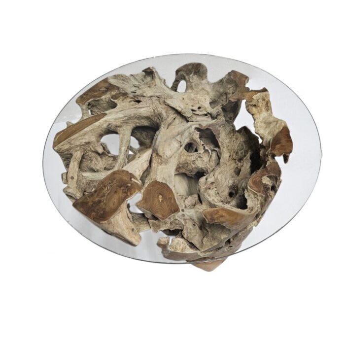 Erosi Root Coffee Table Round INJ3400A44 Top Erosi Root Coffee Table Round INJ3400A44 Top