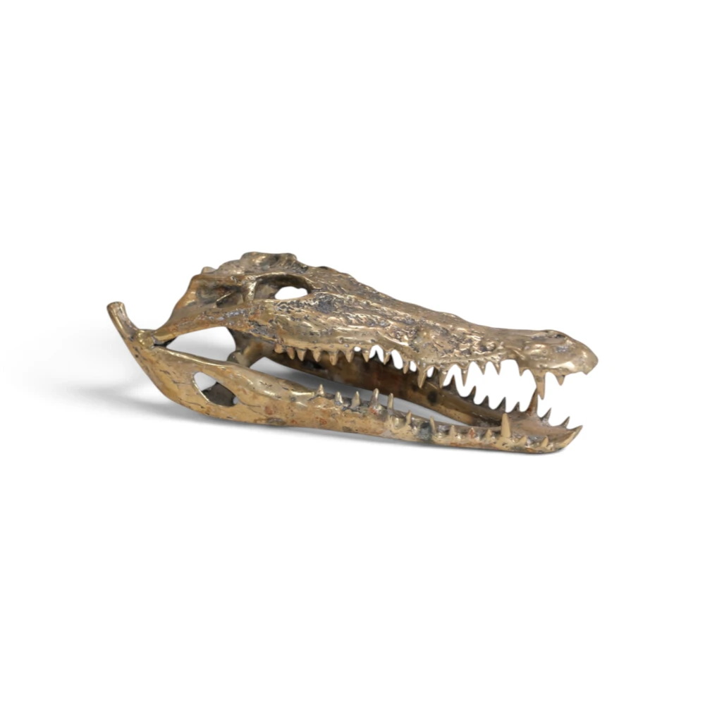 Crocodile Decorative