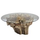 Root Dining INJ0757A22