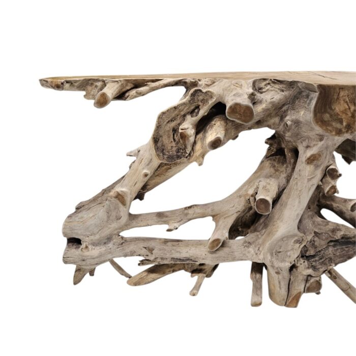 Root Erosi Coffee Table Console NJA9075A11 Close