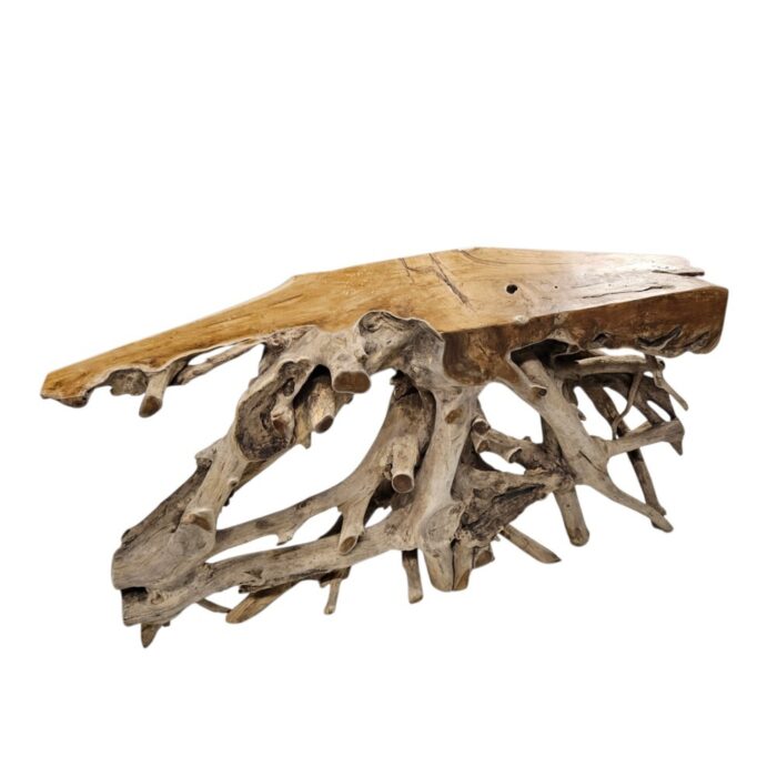 Root Erosi Coffee Table Console NJA9075A11 Side