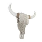 Skull, side view