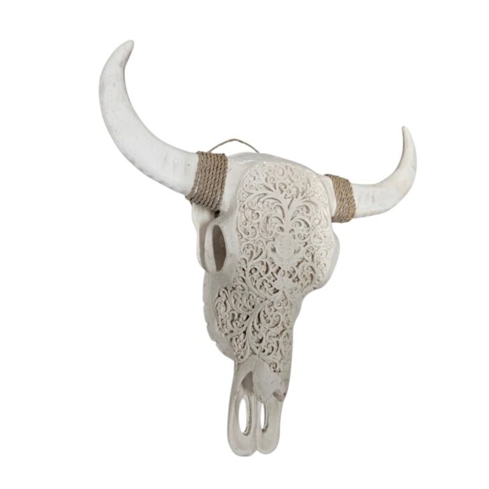 Skull Buffalo Resin BLA0080 Side Skull, side view