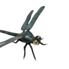Dragonfly Blue And Gold GOL1750 Close Up