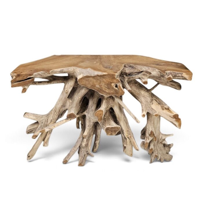 Erosi Root Console Table NJA5421L