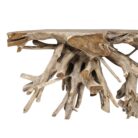 Erosi Root Console Table NJA5421L Close