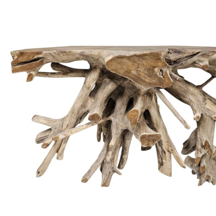 Erosi Root Console Table NJA5421L Close