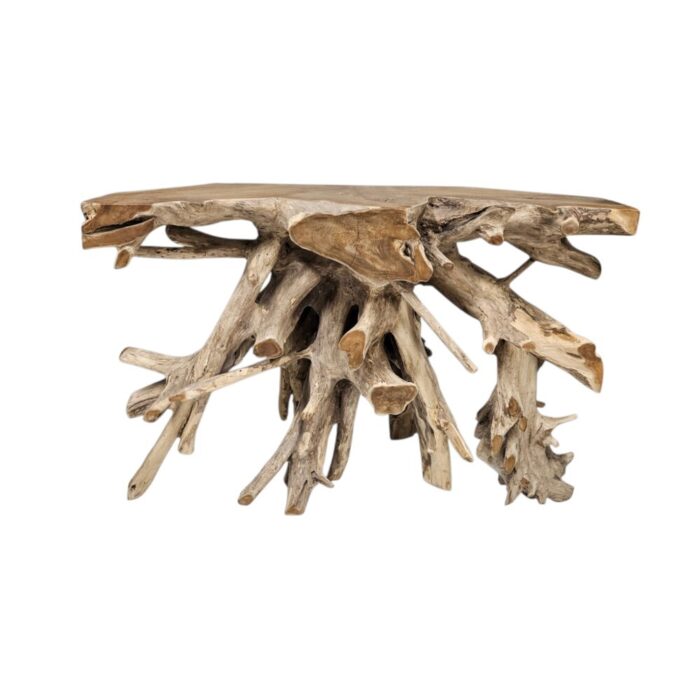 Erosi Root Console Table NJA5421L Main