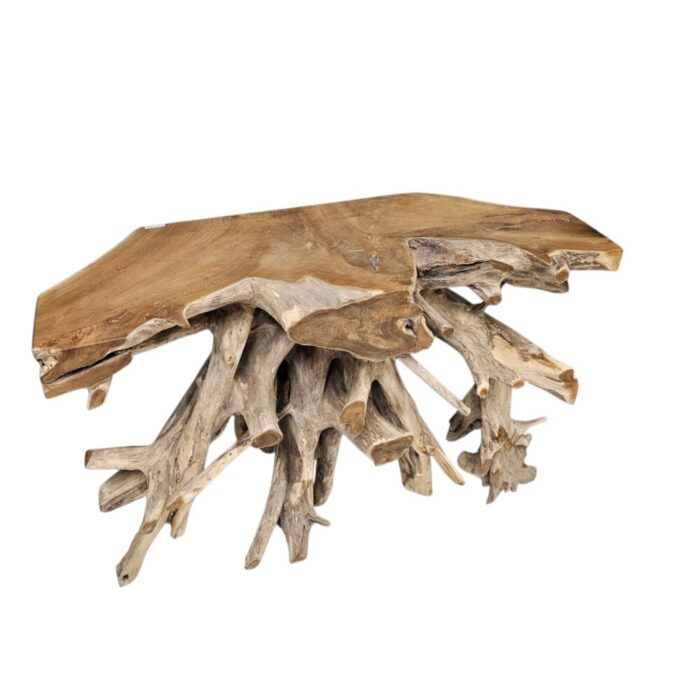 Erosi Root Console Table NJA5421L Side