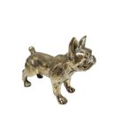 Frenchie Gold GOL1950