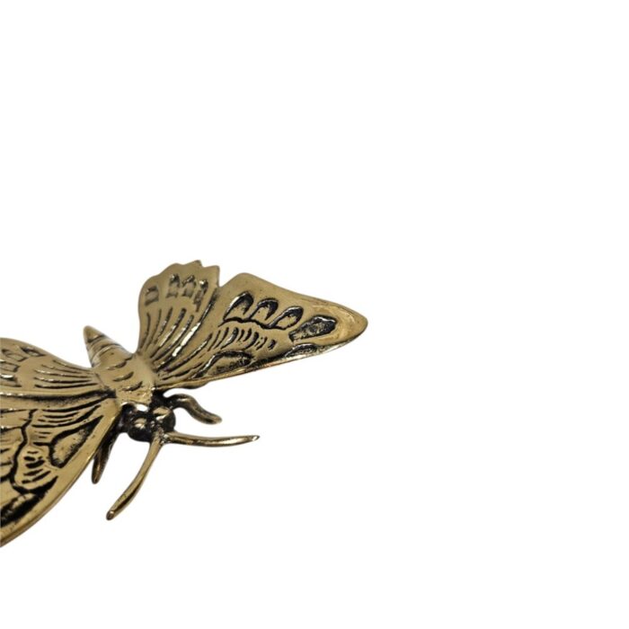 Gold Butterfly GOL1766 Close Up