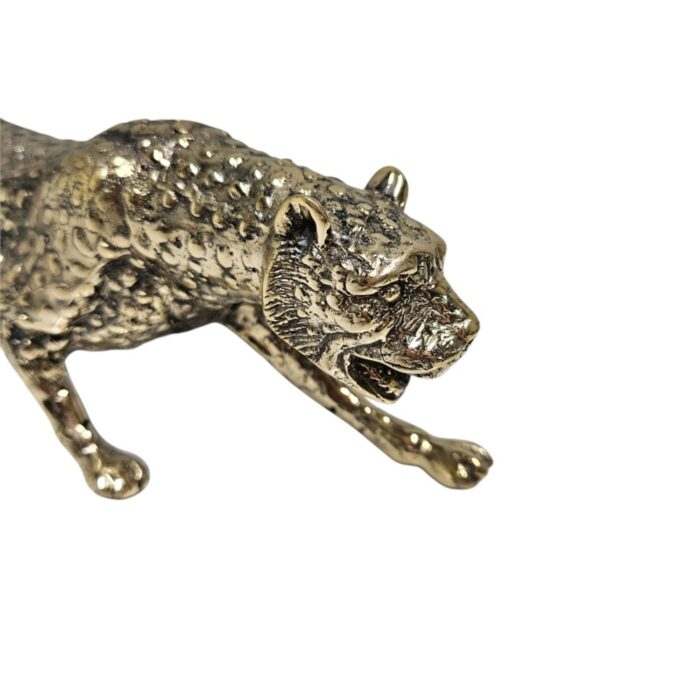 Gold Leopard GOL1811 Close Gold Leopard GOL1811 Close