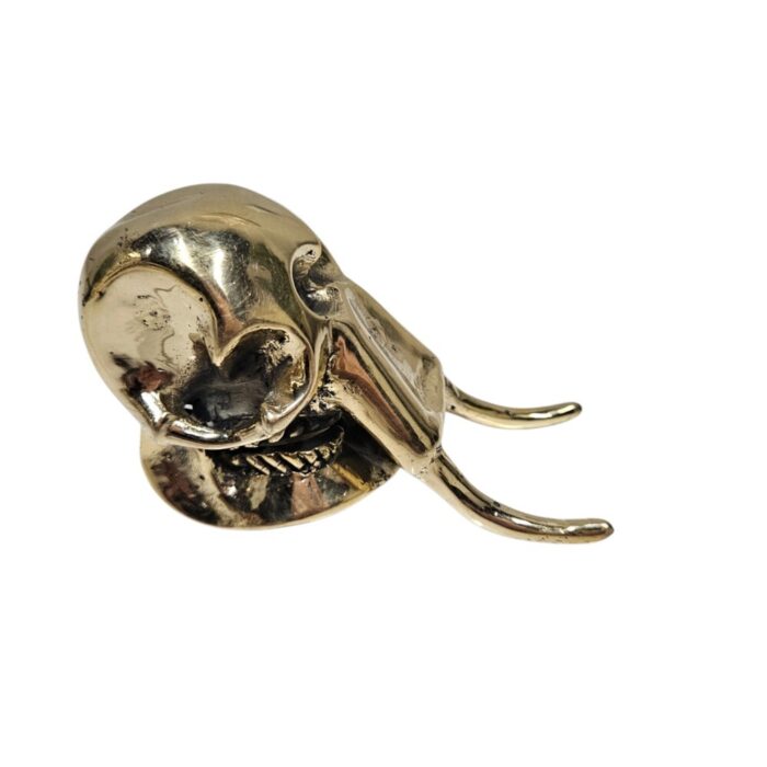 Gold Sabertooth Skull GOL0861 Side