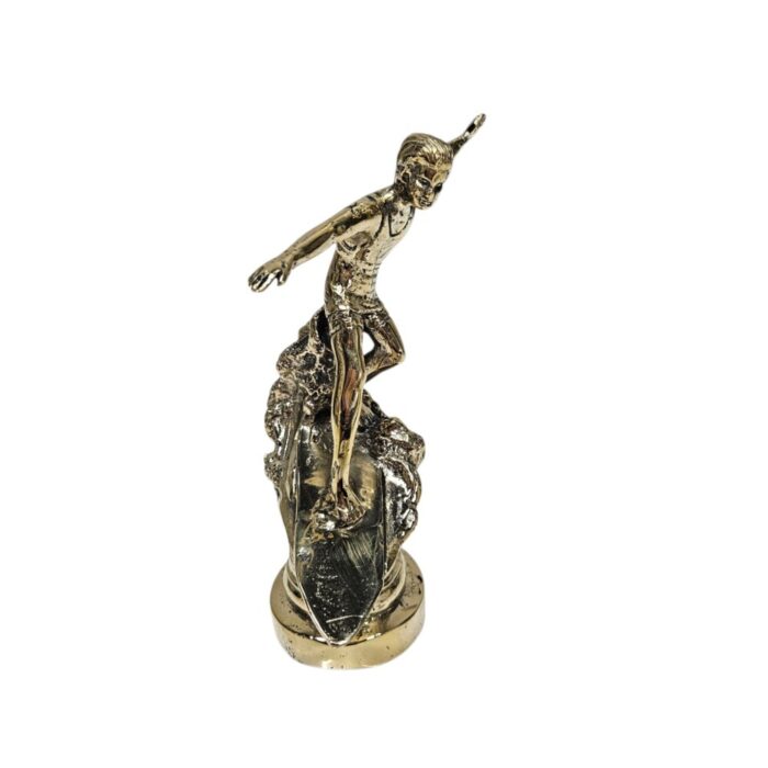 Gold Surfer On Box GOL1019 Front