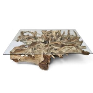 Teak Root Scoop Coffee Table – Glass Top