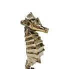 Seahorse Gold GOL0359 Close Up