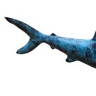 Swim Shark Metal GOL0991 Close Up Back