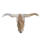 Teak Carved Buffalo Skull NJA7525B
