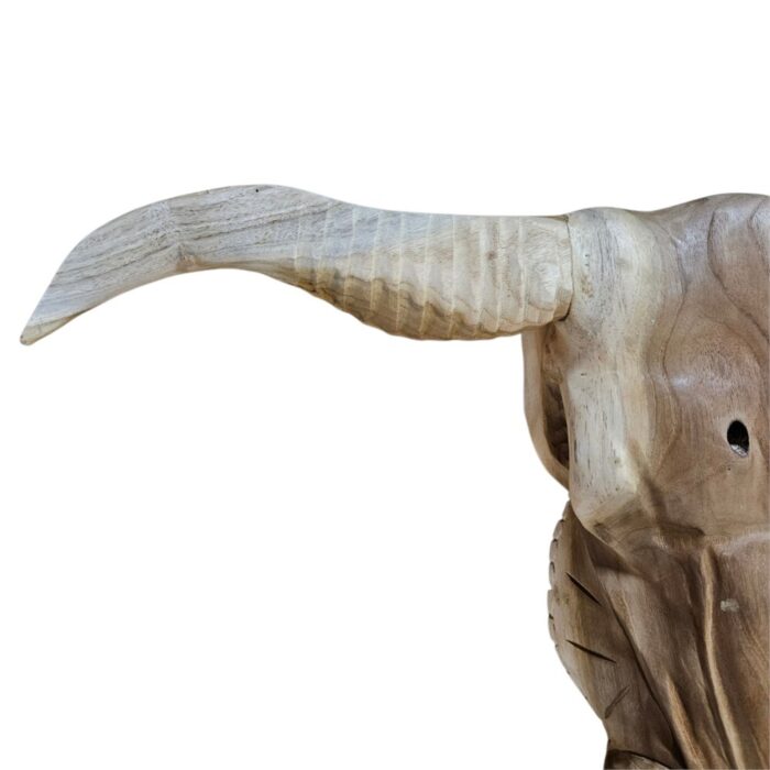 Teak Carved Buffalo Skull NJA7525B Close