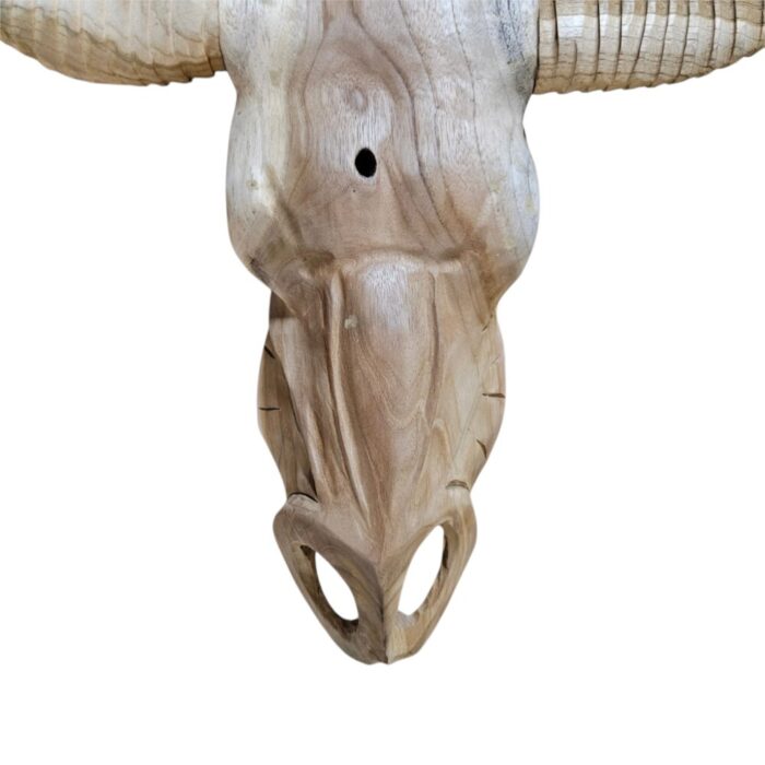 Teak Carved Buffalo Skull NJA7525B Close Front