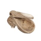 Teak Pelican Big Mouth CIT0003 Top